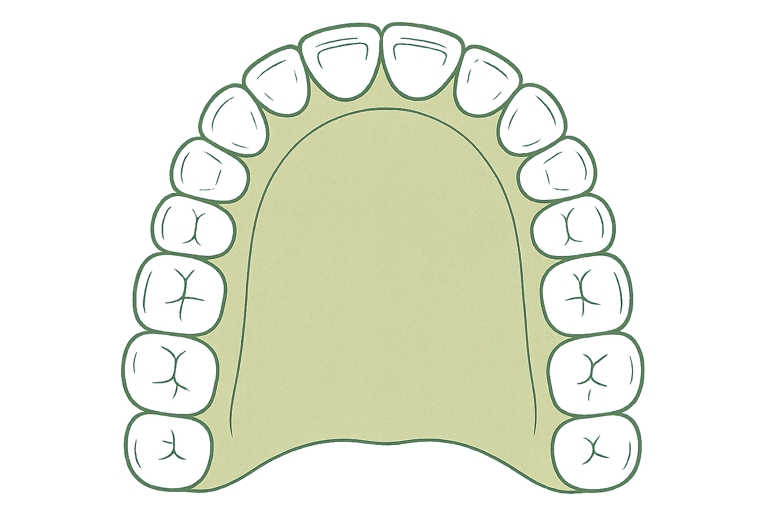 A broad, well-developed dental arch after treatment