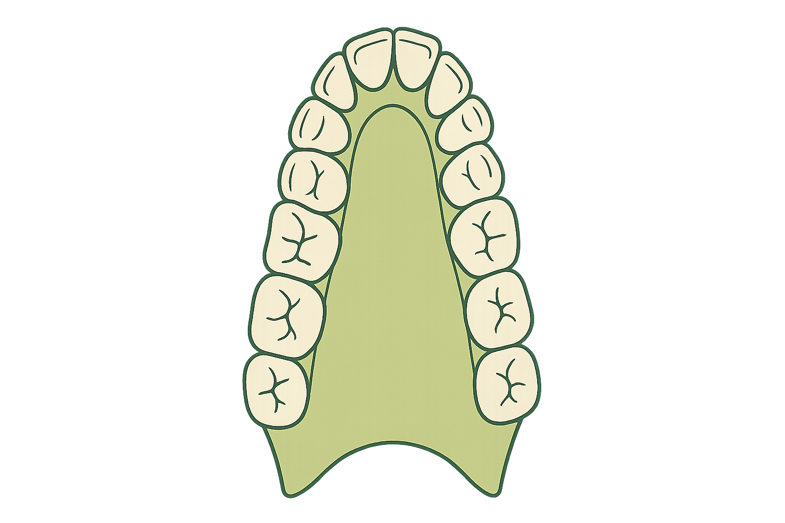 A narrow, constricted dental arch before treatment