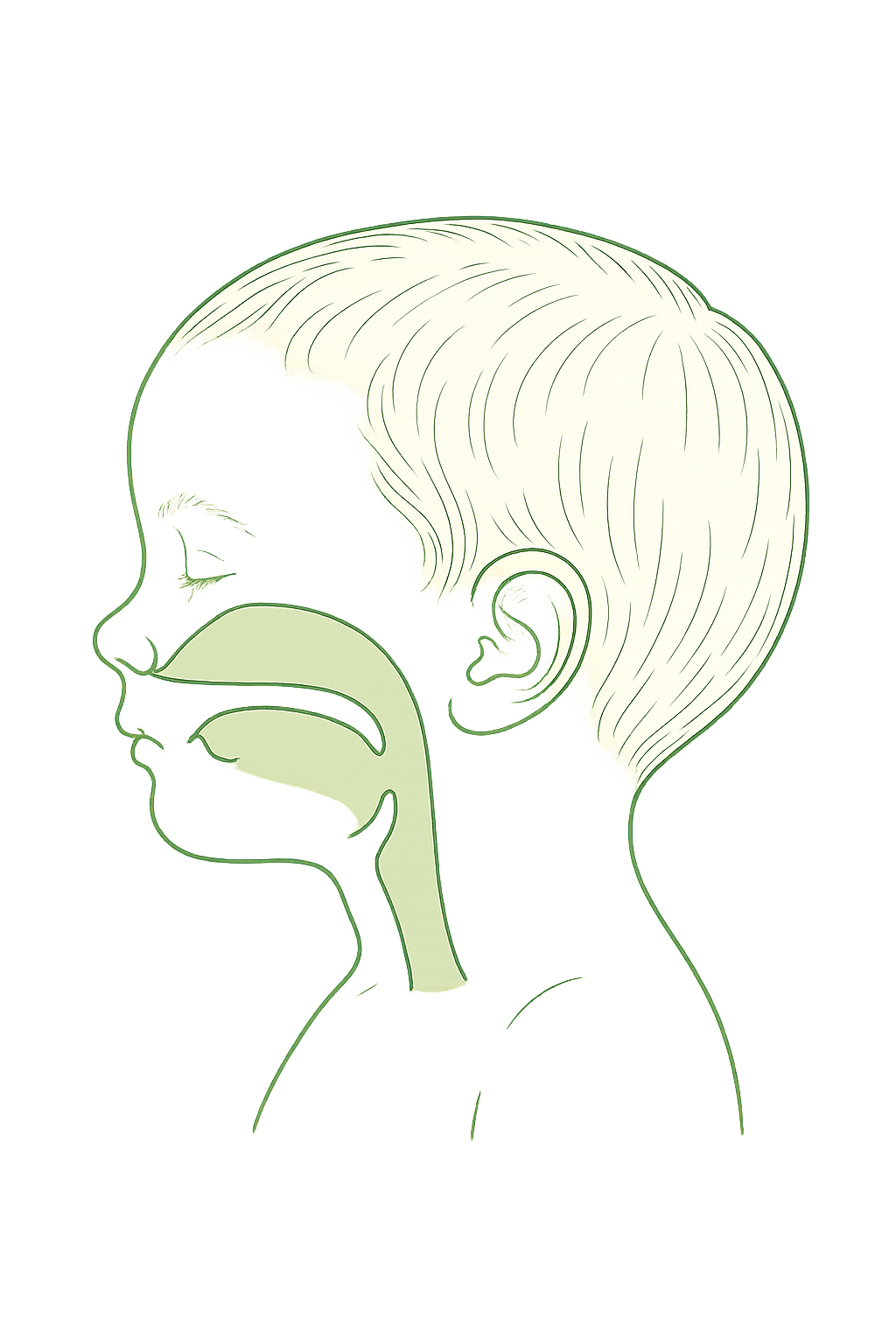 Line illustration of a child's head in profile with the nasal and pharyngeal airway highlighted